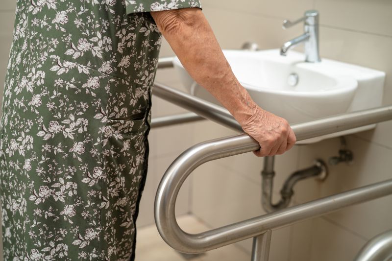 Senior Home Modification detail